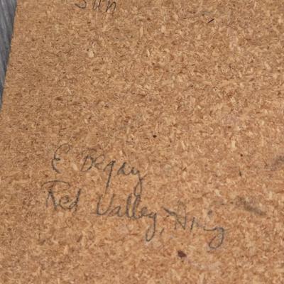 (2) Signed Navajo Sand Paintings
