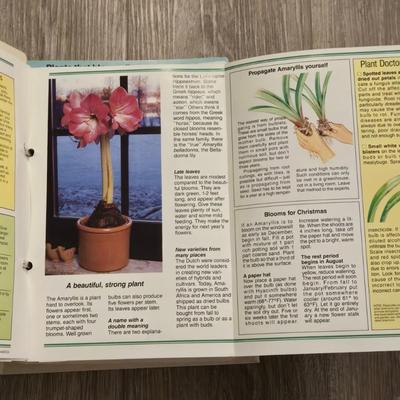 Indoor Plant Guide