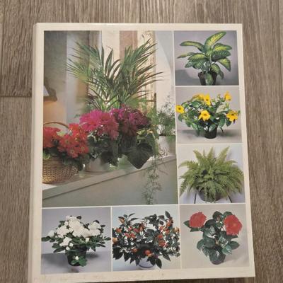 Indoor Plant Guide