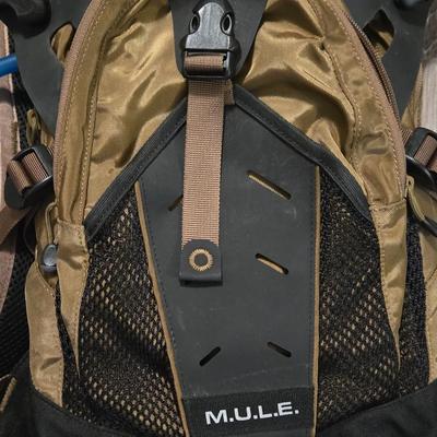 Camelback Mule Backpack