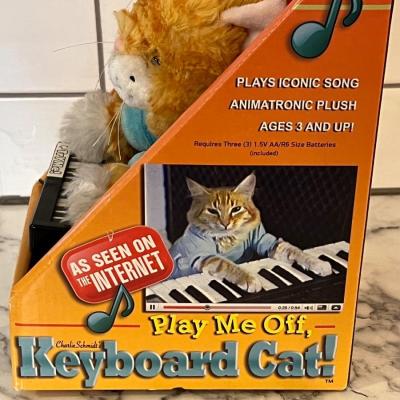 Vintage Keyboard Cat- 1984