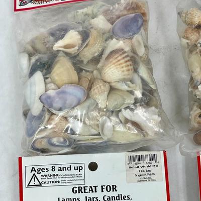 Lot of (4) 1 pound bags of mixed shells - for Lamps, Jars, Candles, Terrariums, Landscaping, and more