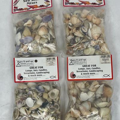 Lot of (4) 1 pound bags of mixed shells - for Lamps, Jars, Candles, Terrariums, Landscaping, and more