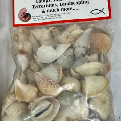 Lot of (4) 1 pound bags of mixed shells - for Lamps, Jars, Candles, Terrariums, Landscaping, and more