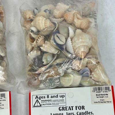 Lot of (4) 1 pound bags of mixed shells - for Lamps, Jars, Candles, Terrariums, Landscaping, and more