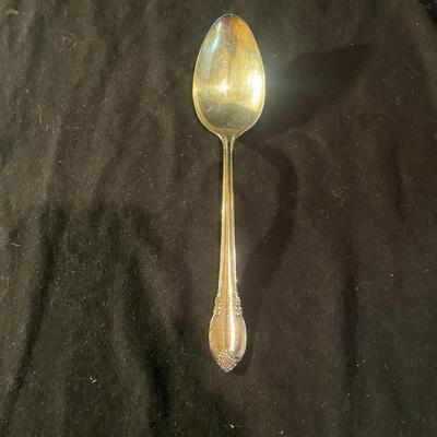 Rogers Brothers Remembrance Pattern Silver Plate Flatware Set (LR-MG)