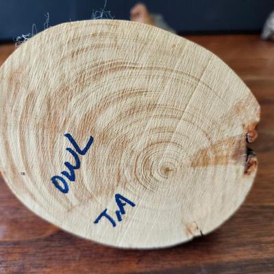 Owl signed by TIA