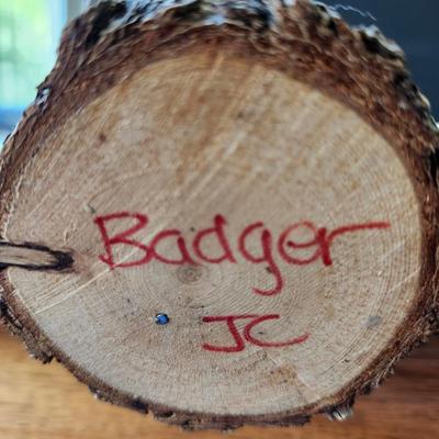 Badger by J.C.