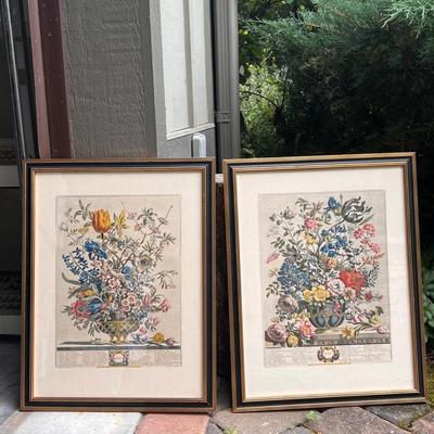 February and May Floral Prints (G-DZ)