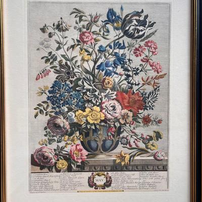 February and May Floral Prints (G-DZ)