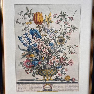 February and May Floral Prints (G-DZ)