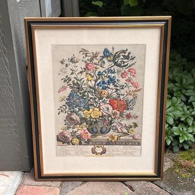 February and May Floral Prints (G-DZ)
