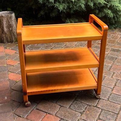 Rolling Wooden Bar Cart (G-DZ)