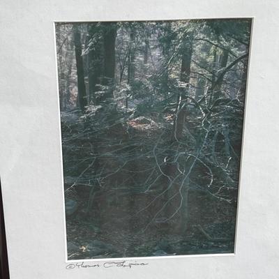 Thomas Shapiro Pencil Signed Nature Photos (G-DZ)