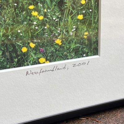 Thomas Shapiro Pencil Signed Nature Photos (G-DZ)