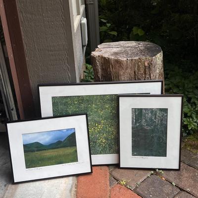 Thomas Shapiro Pencil Signed Nature Photos (G-DZ)