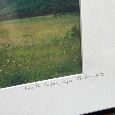 Thomas Shapiro Pencil Signed Nature Photos (G-DZ)