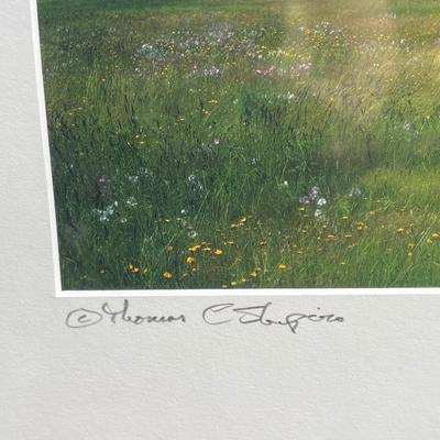 Thomas Shapiro Pencil Signed Nature Photos (G-DZ)