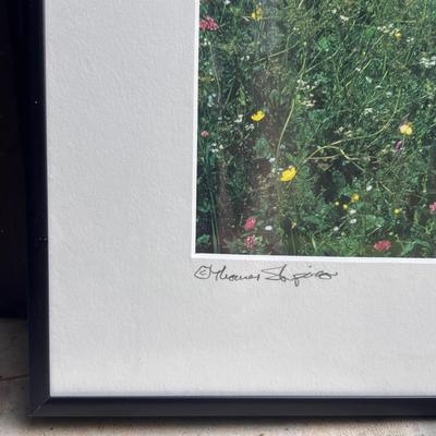 Thomas Shapiro Pencil Signed Nature Photos (G-DZ)