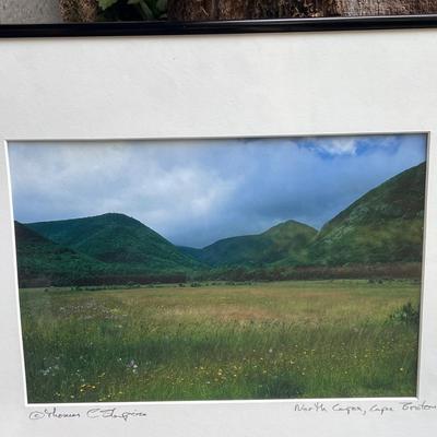 Thomas Shapiro Pencil Signed Nature Photos (G-DZ)