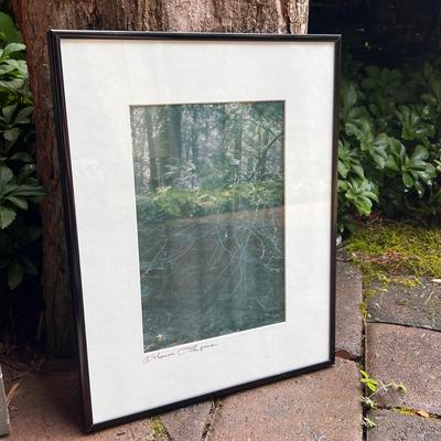 Thomas Shapiro Pencil Signed Nature Photos (G-DZ)