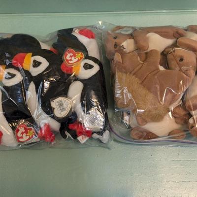 Beanie Babies 6 Nuts & 5 Puffers Choice 5