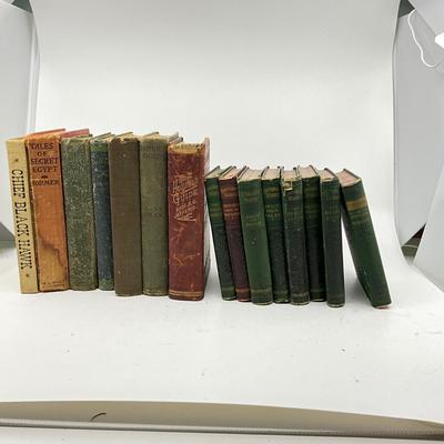1386 Antique Hawthorne Books and Various Novels