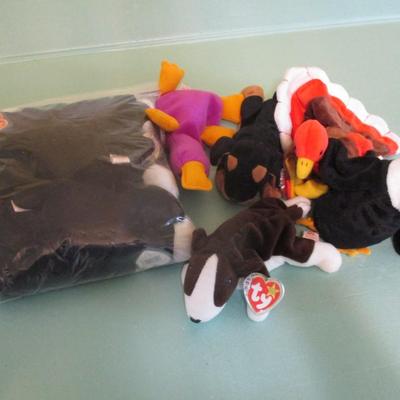 11 Beanie Babies 5 Assorted & 6 Daisy Choice 28