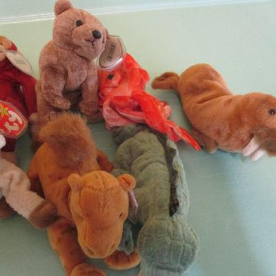 Beanie Baby Collection Choice 29