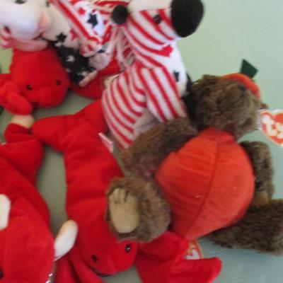 Beanie Baby Collection Choice 31