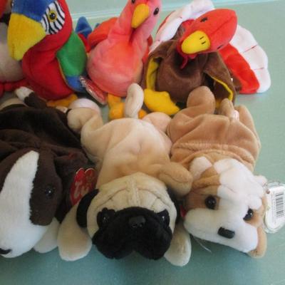 11 - TY Beanie Babies Choice 38