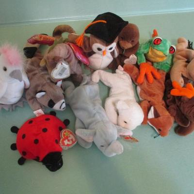 12 - TY Beanie Babies Choice 43