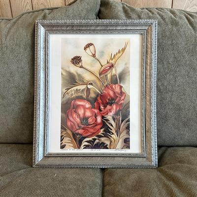 225 POPPY PRINT LIMITED EDITION BY ARTIST JODY BERGSMA 14X17