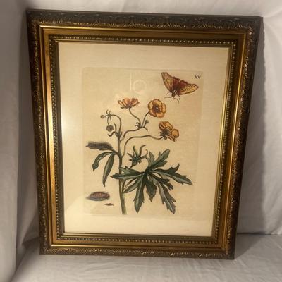 Two Floral Prints w/Uttermost Wood Frames (G-MG)