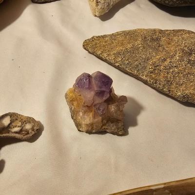 Assortment of Mineral & Rock Specimens (DR-JS)
