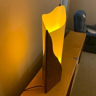 Unique Wood Lamp (PB-HS)