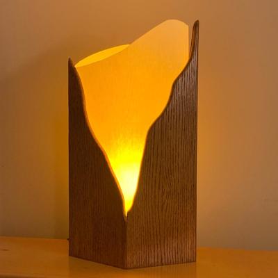 Unique Wood Lamp (PB-HS)