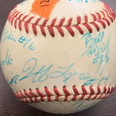 Signed Vintage Baseball - Many Signatures BB12