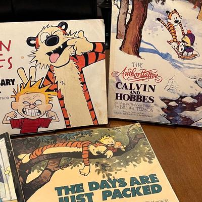 Calvin and Hobbes Comics Lot