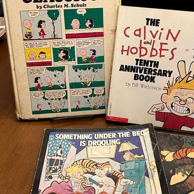 Calvin and Hobbes Comics Lot