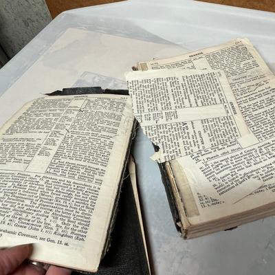 Bibles