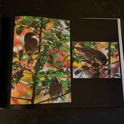 ‘A Day in the Life of America’ & More Coffee Table Books (D-RG)