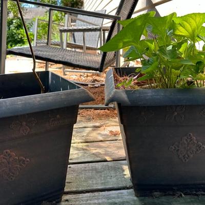 Planters Lot