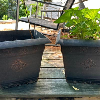 Planters Lot