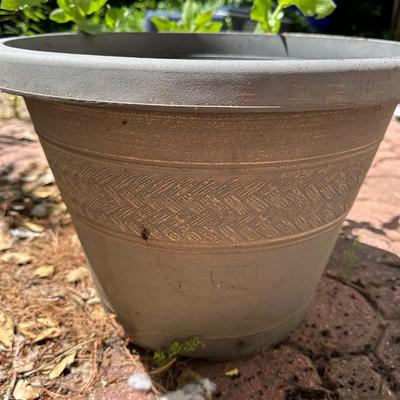 Planters Lot
