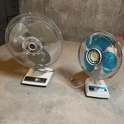 Fans lot of two