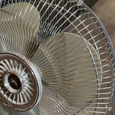 Fans lot of two