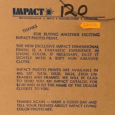 Impact Living Salt Lake City Temple Paint Frame
