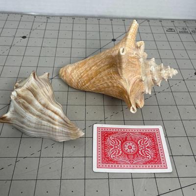 Ocean-theme Home Decor