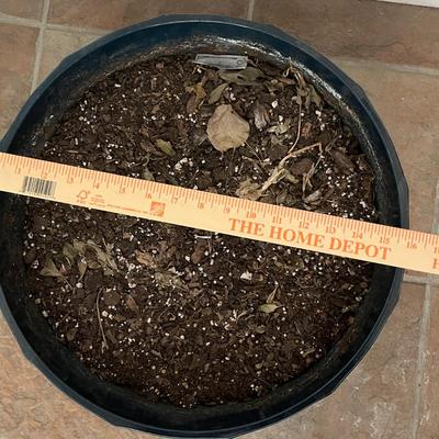 Flower Pots for Indoor/Outdoor Black